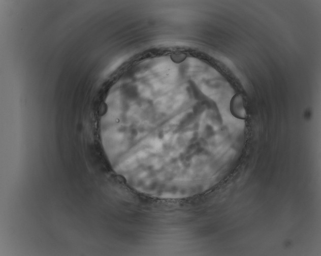 X0000094210871200711241657