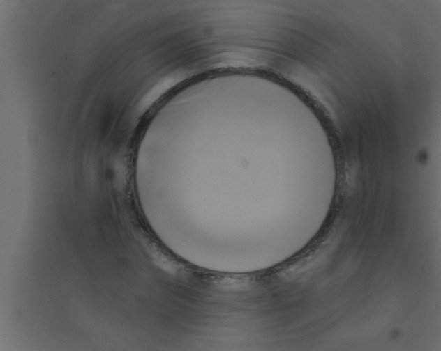 X0000094210874200711241657
