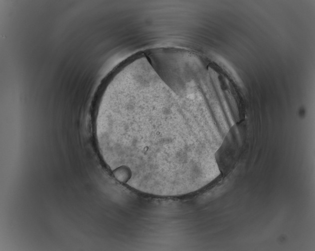 X0000094210876200711241657