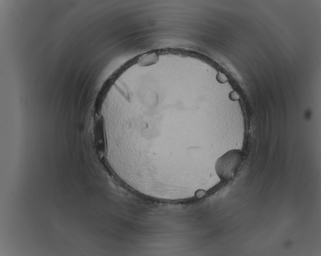 X0000094210877200711241657