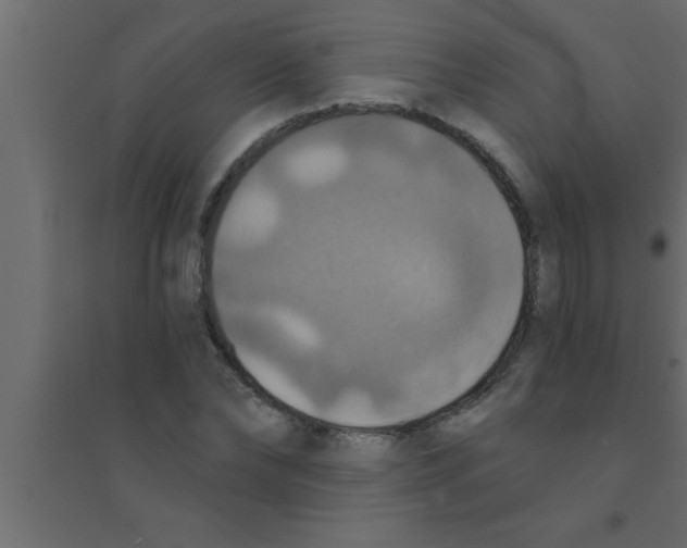 X0000094210878200711241657