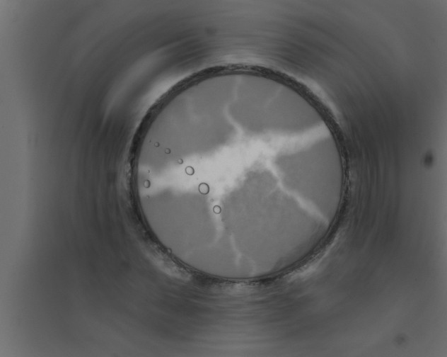X0000094210879200711241657