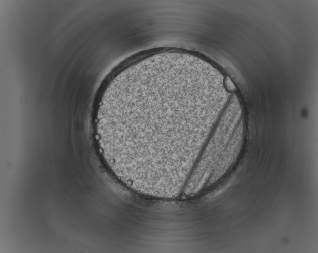 X0000094210880200711241657