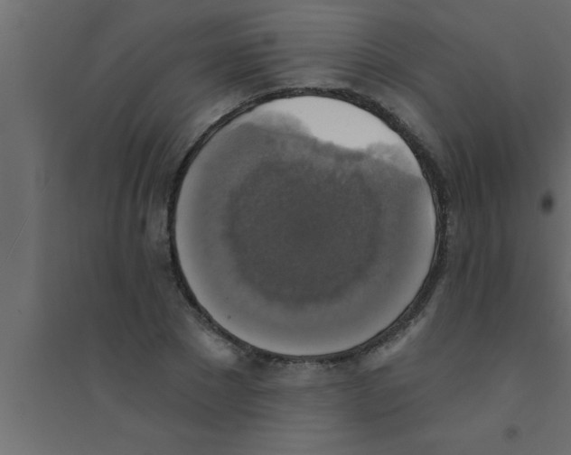 X0000094210881200711241657