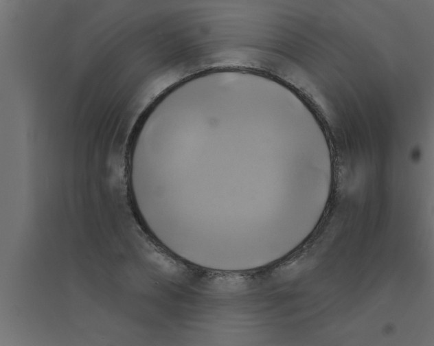 X0000094210882200711241657
