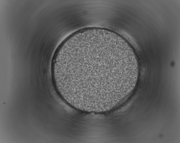 X0000094210884200711241657