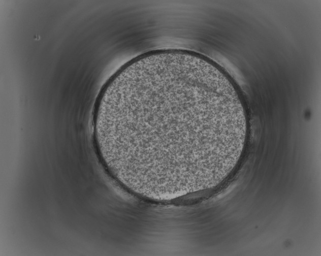 X0000094210885200711241657