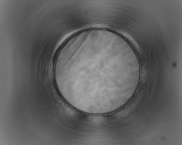 X0000094210886200711241657