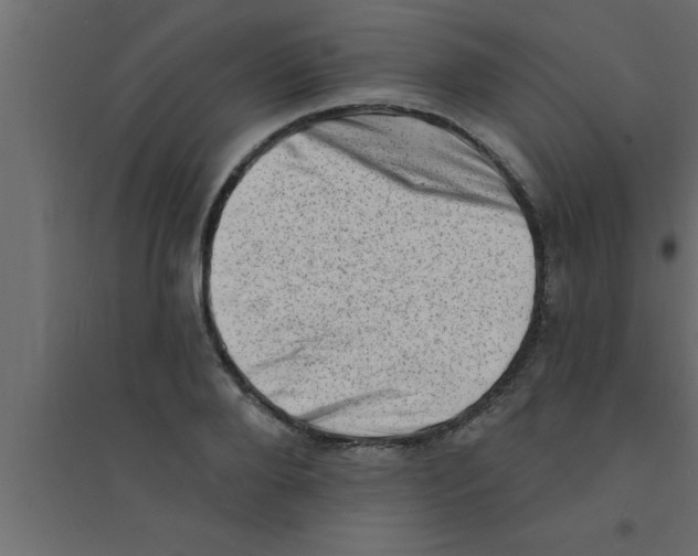 X0000094210888200711241657