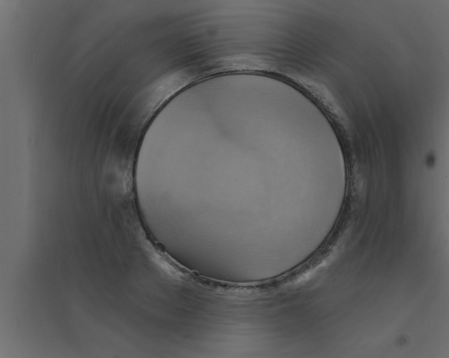 X0000094210889200711241657