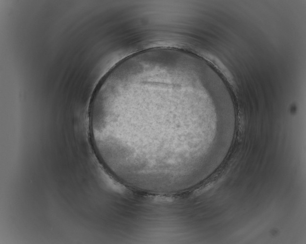 X0000094210890200711241657