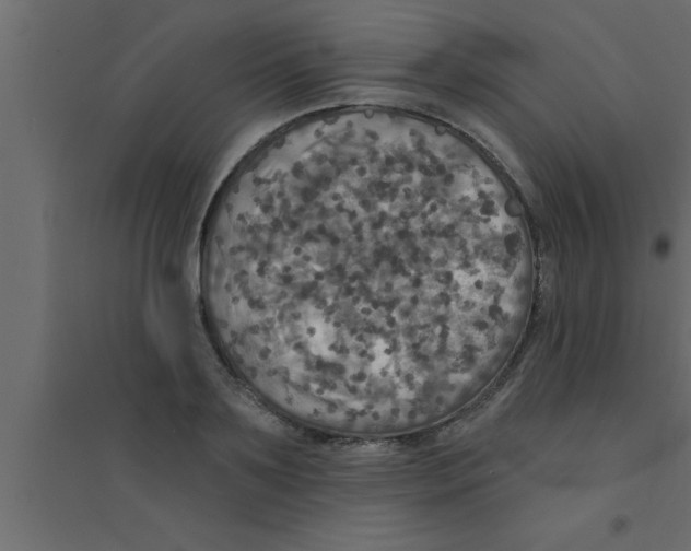 X0000094210891200711241657
