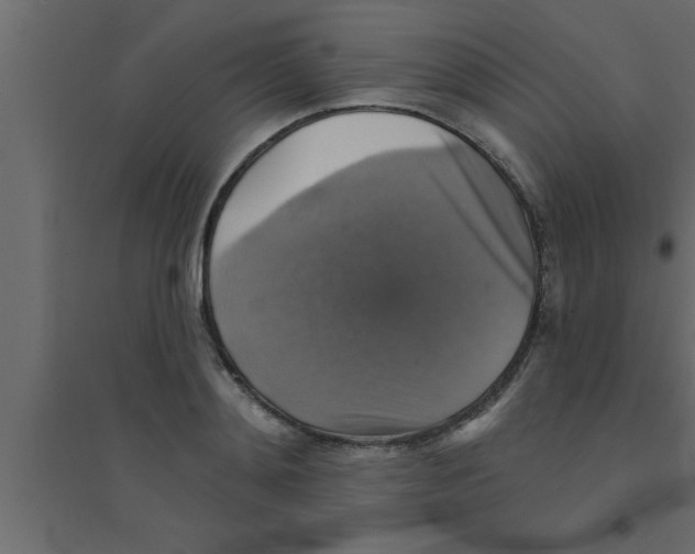 X0000094210892200711241657
