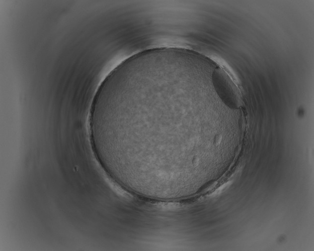 X0000094210893200711241657