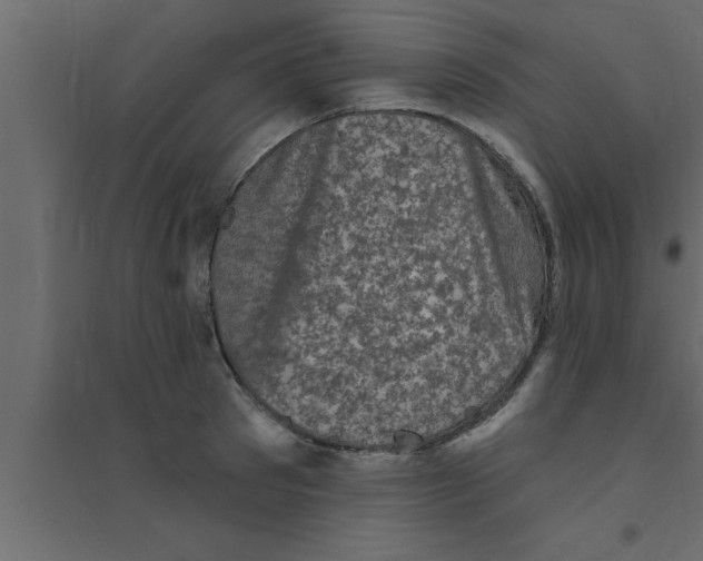 X0000094210897200711241657
