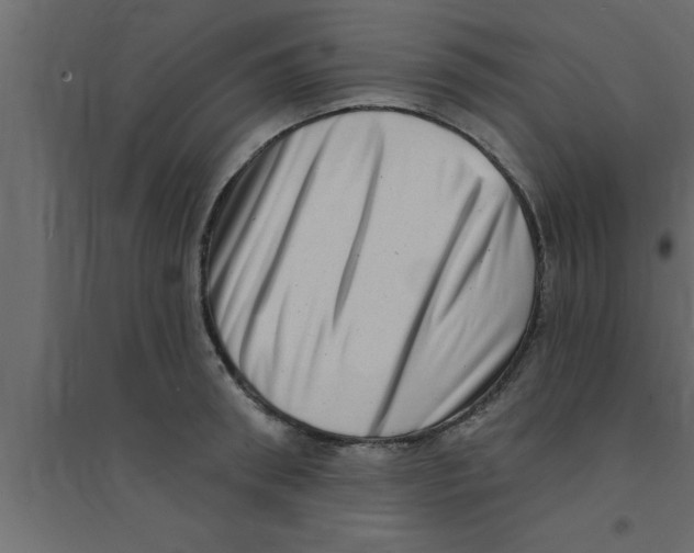X0000094210898200711241657