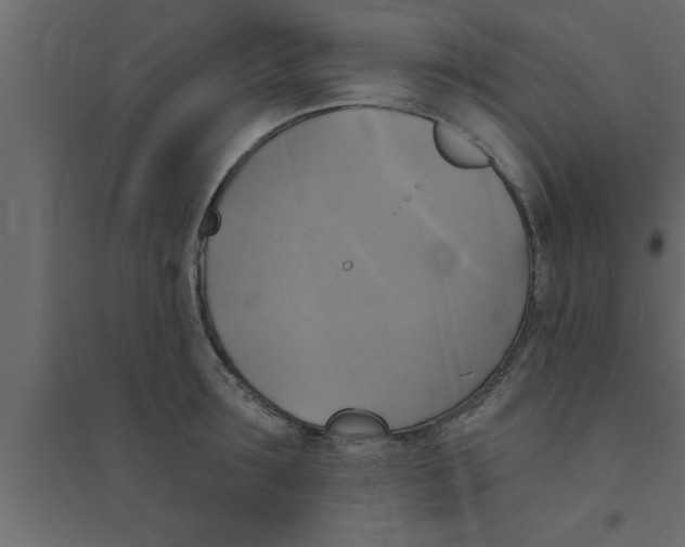 X0000094210899200711241657