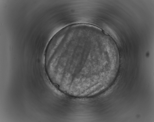 X0000094210900200711241657