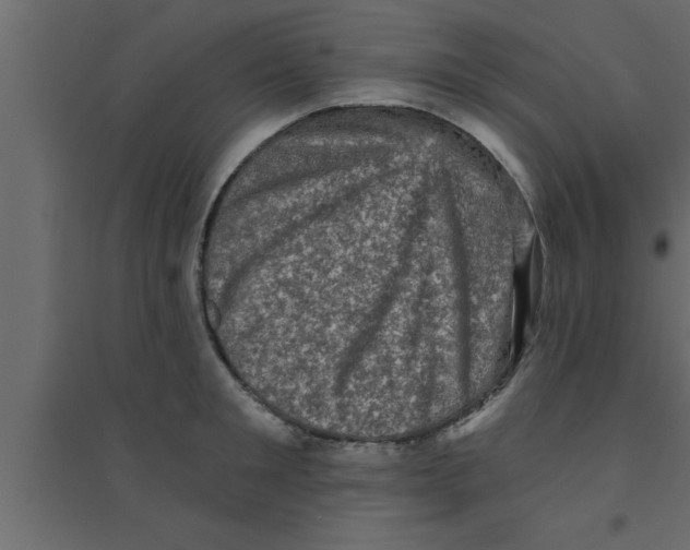 X0000094210901200711241657