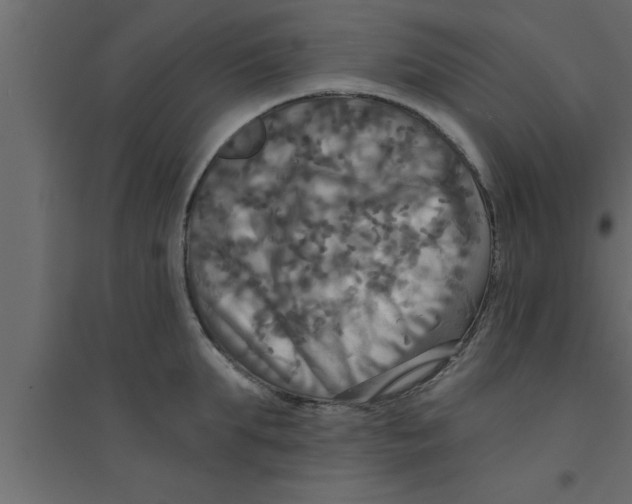 X0000094210903200711241657