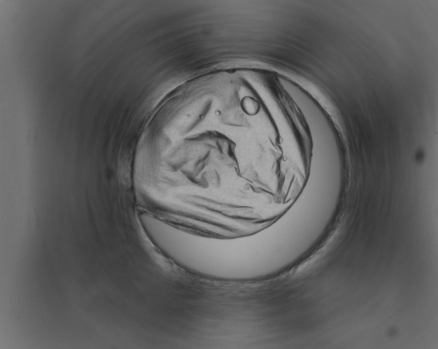 X0000094210905200711241657