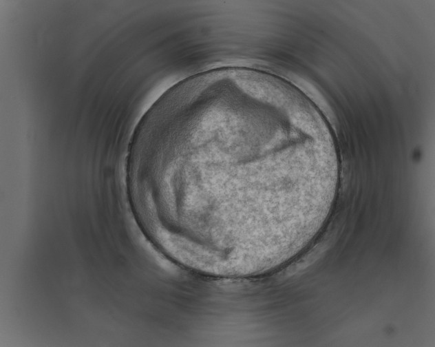 X0000094210906200711241657