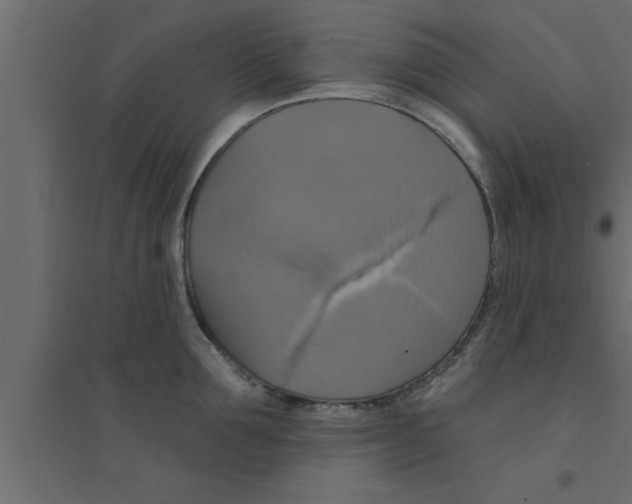 X0000094210907200711241657
