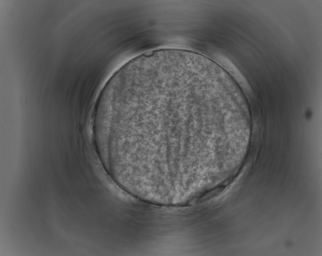 X0000094210908200711241657