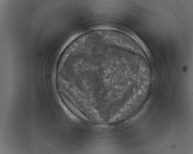 X0000094210909200711241657