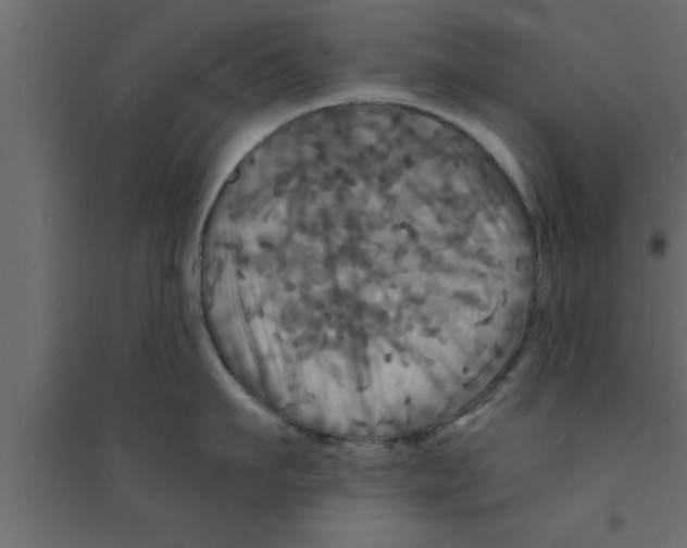 X0000094210911200711241657