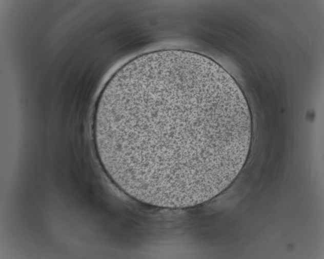 X0000094210912200711241657