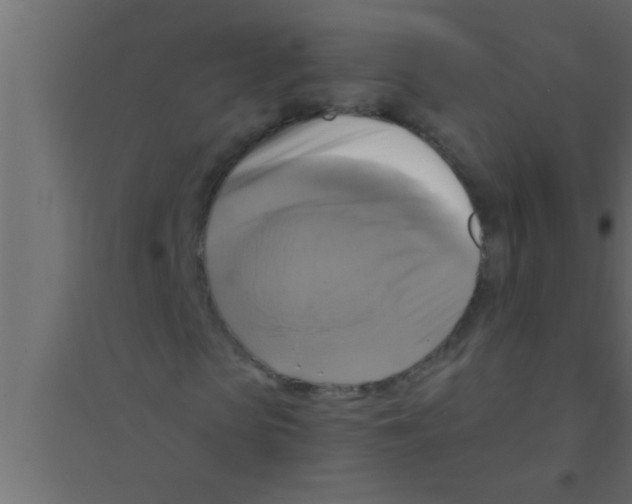 X0000094210913200711241656