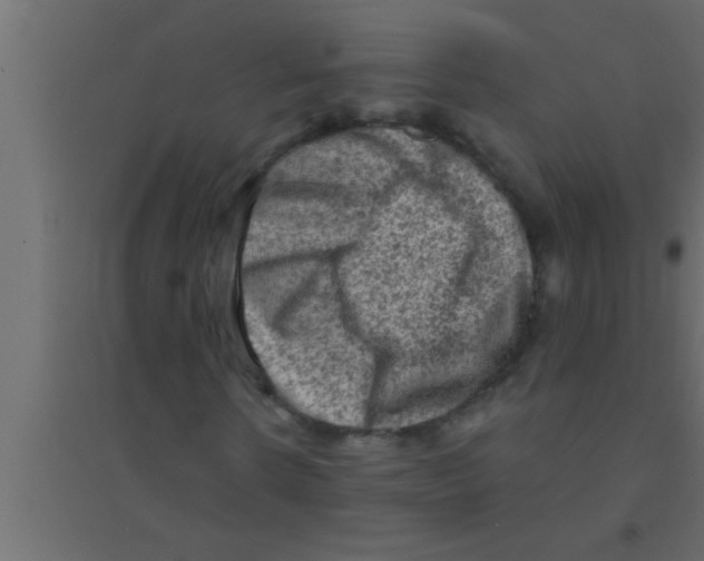 X0000094210914200711241656