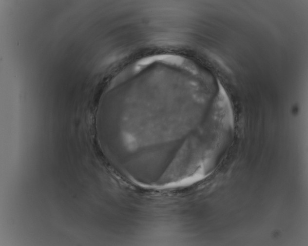 X0000094210917200711241656