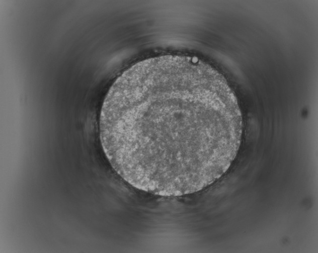 X0000094210918200711241656