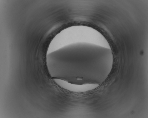 X0000094210919200711241656