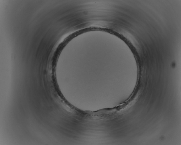 X0000094210923200711241656