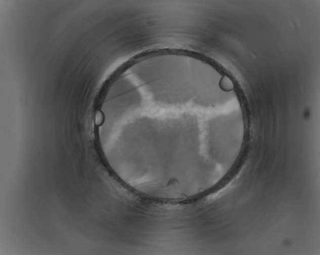 X0000094210925200711241656