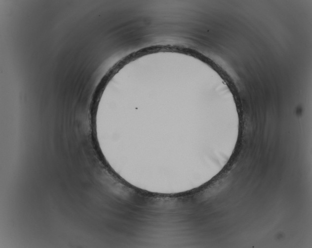X0000094210927200711241656
