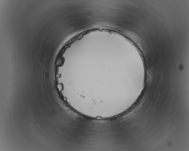 X0000094210931200711241656