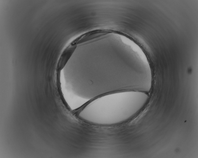X0000094210932200711241656