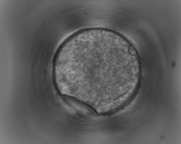 X0000094210933200711241656
