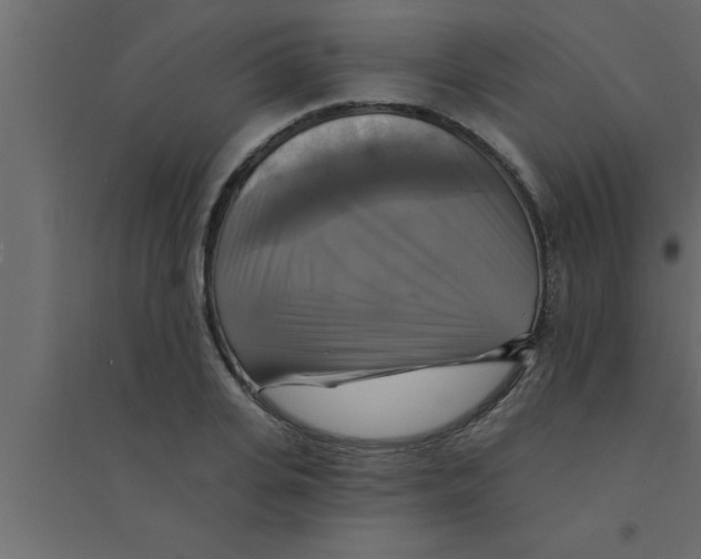 X0000094210935200711241657