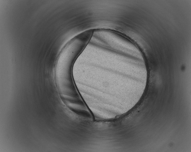 X0000094210936200711241657