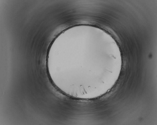 X0000094210938200711241657