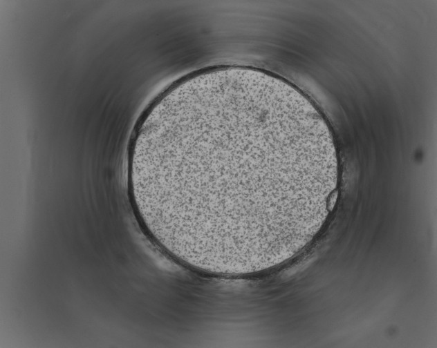 X0000094210940200711241657