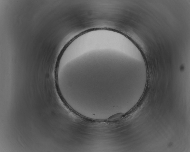 X0000094210943200711241657