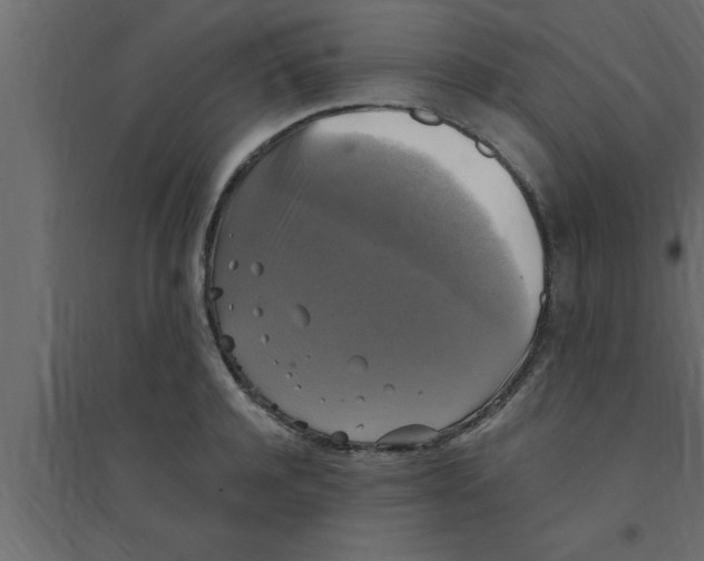 X0000094210944200711241657