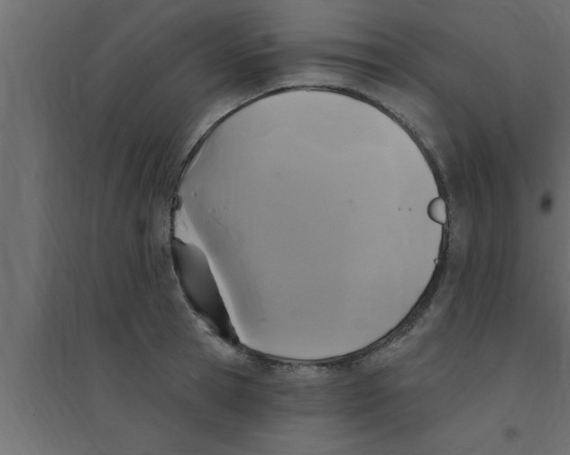 X0000094210945200711241657