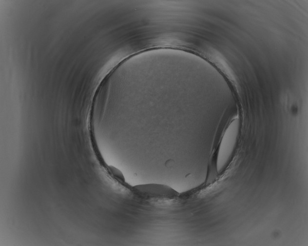 X0000094210946200711241657